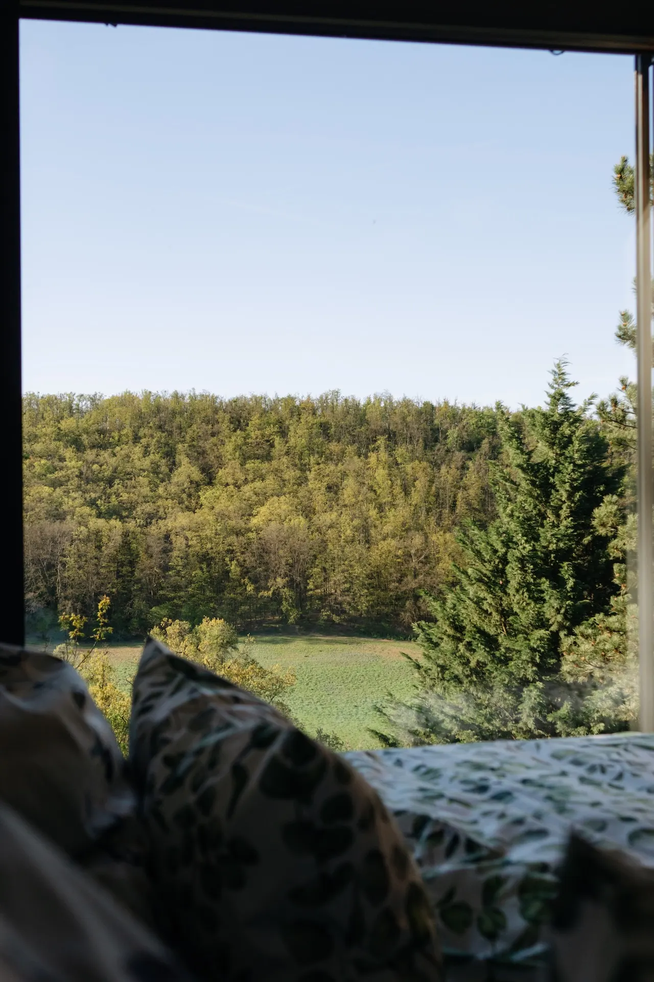 Výhled z postele do lesa.