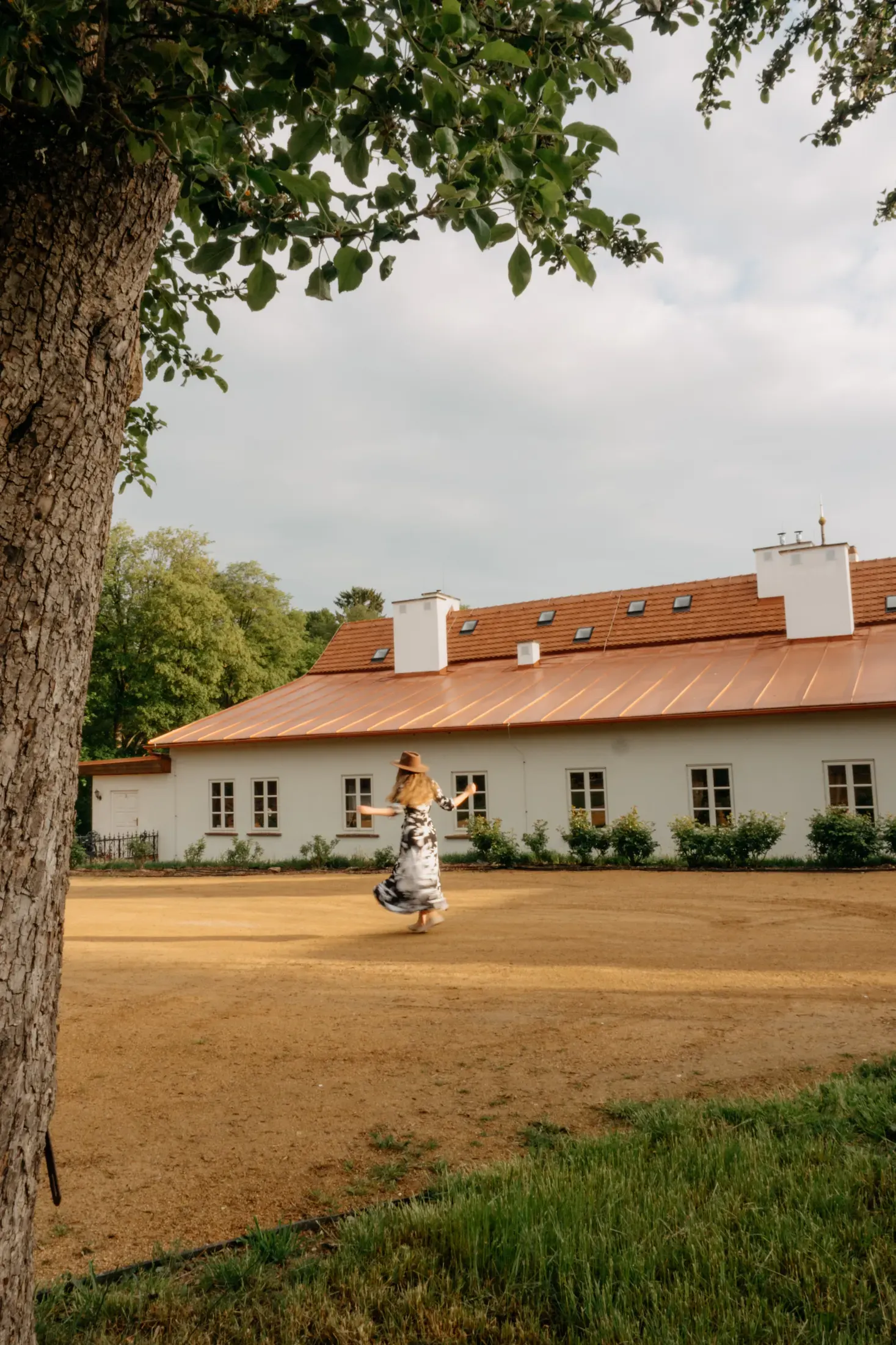 Apartmánové stavení lemované zelení parku.