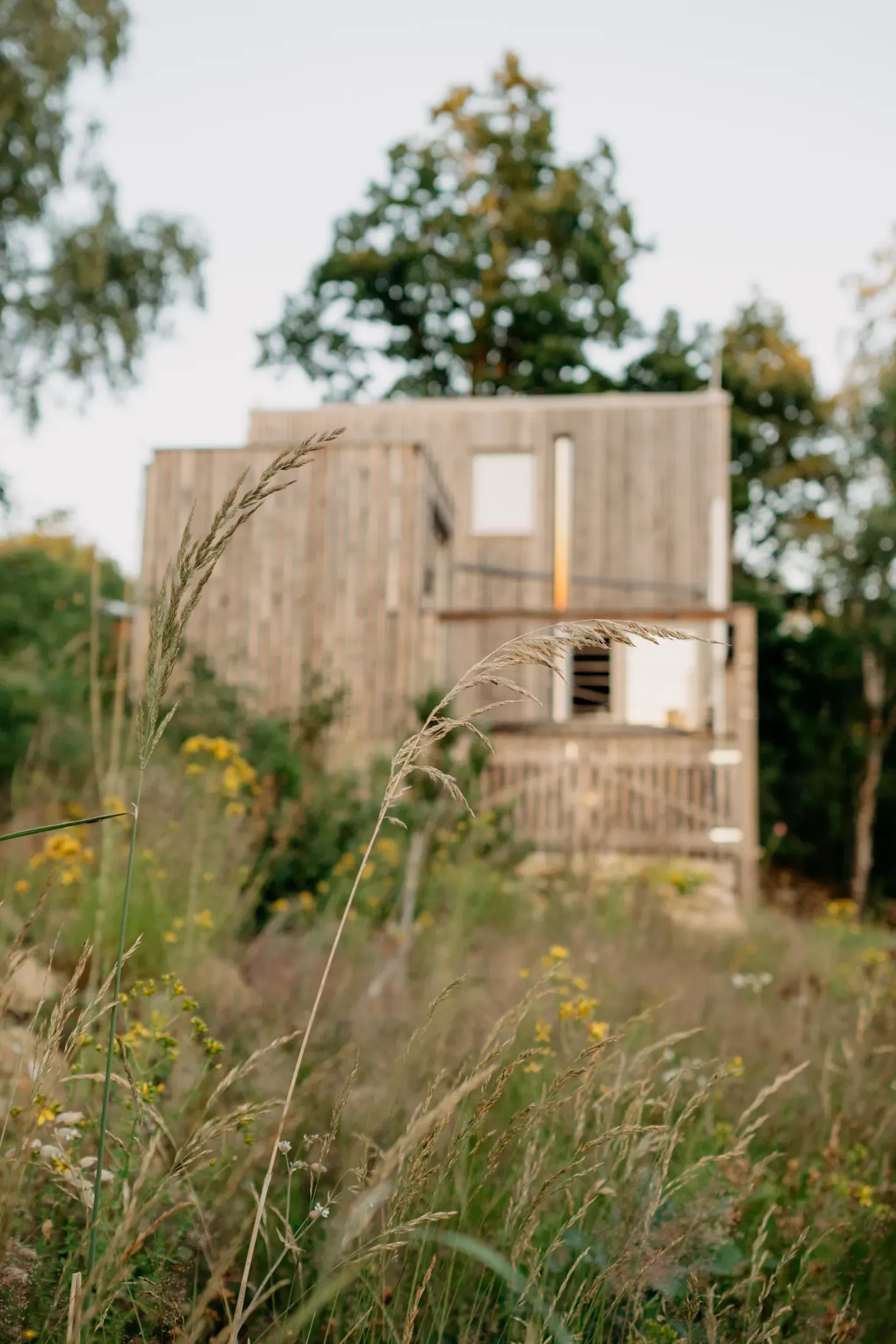 The cabin's timber facade behind tall summer grass and wildflowers.