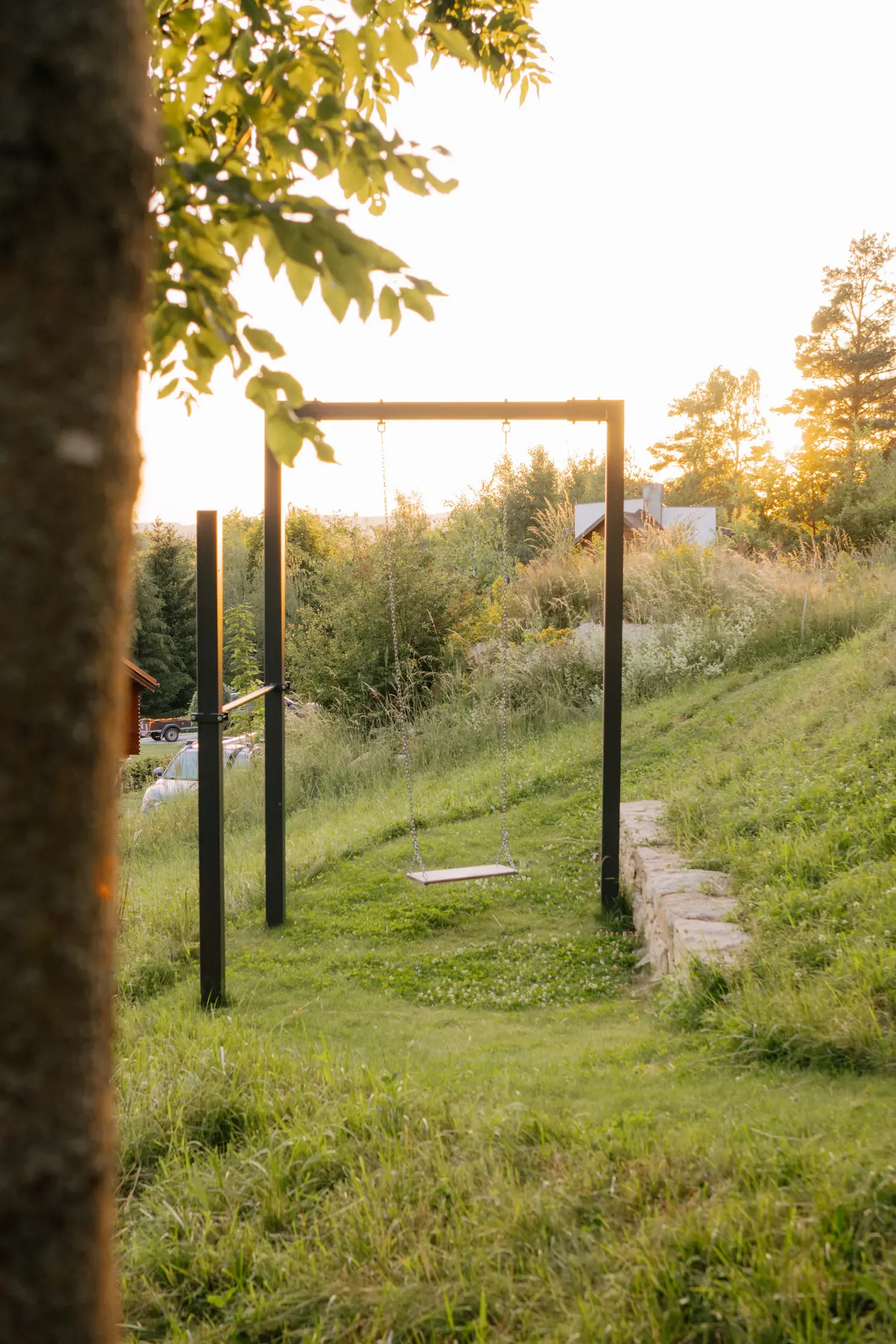 A swing in the meadow by the cabin at sunset.