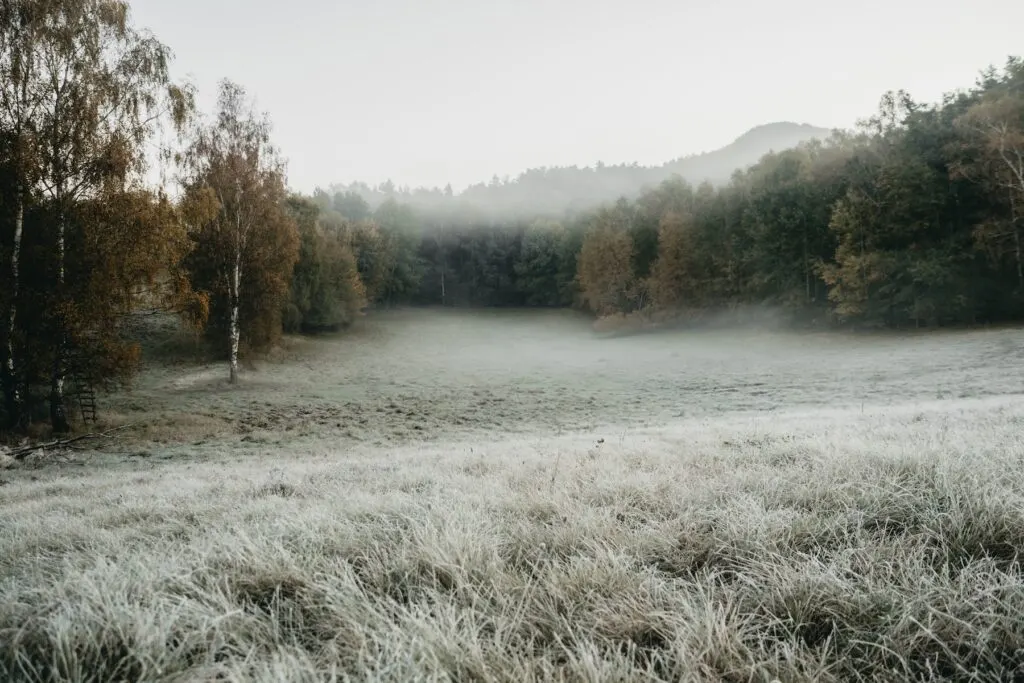 Koupelna glampingu u Cvikova.