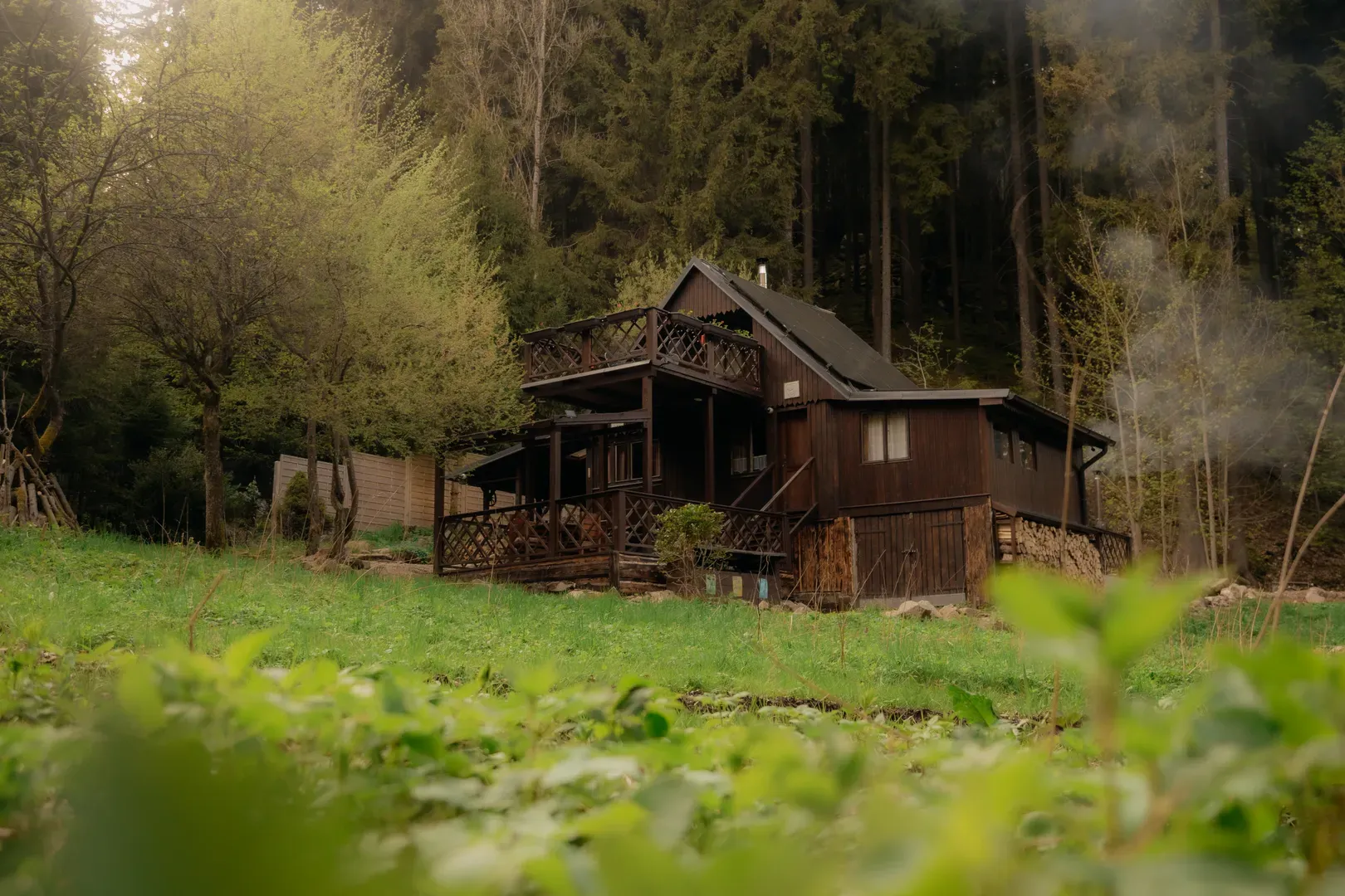 Fotografie — Grizzly.