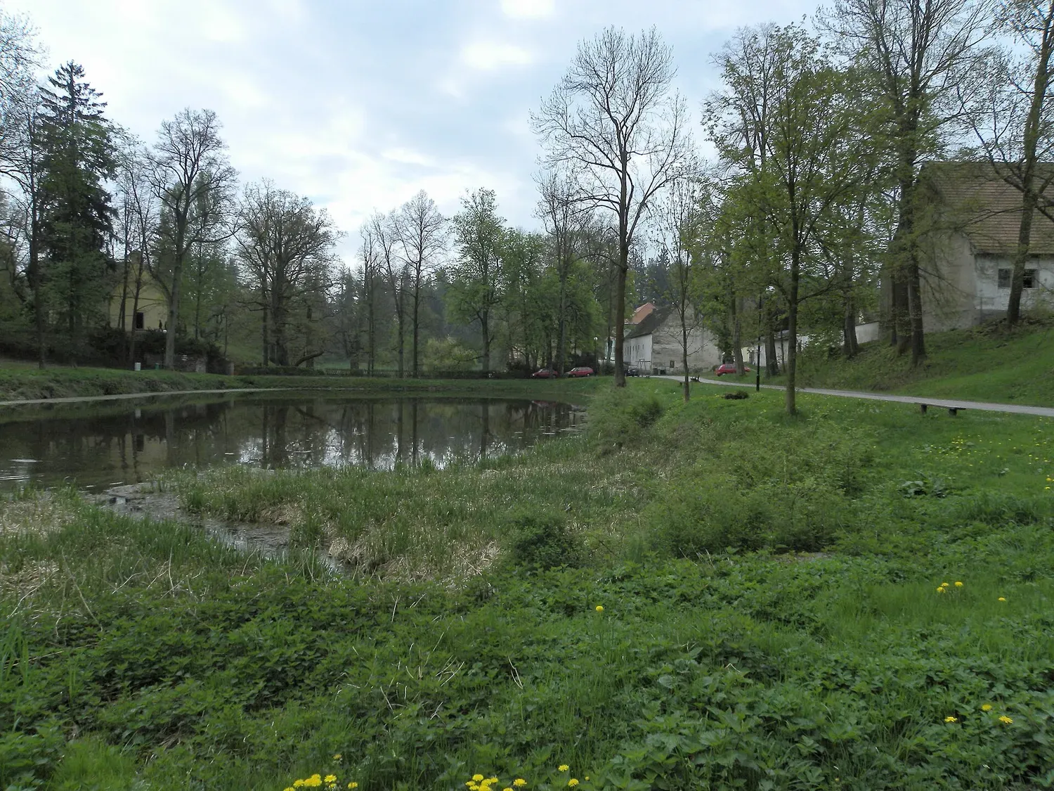 A pond with a meadow and trees in the land of ponds.