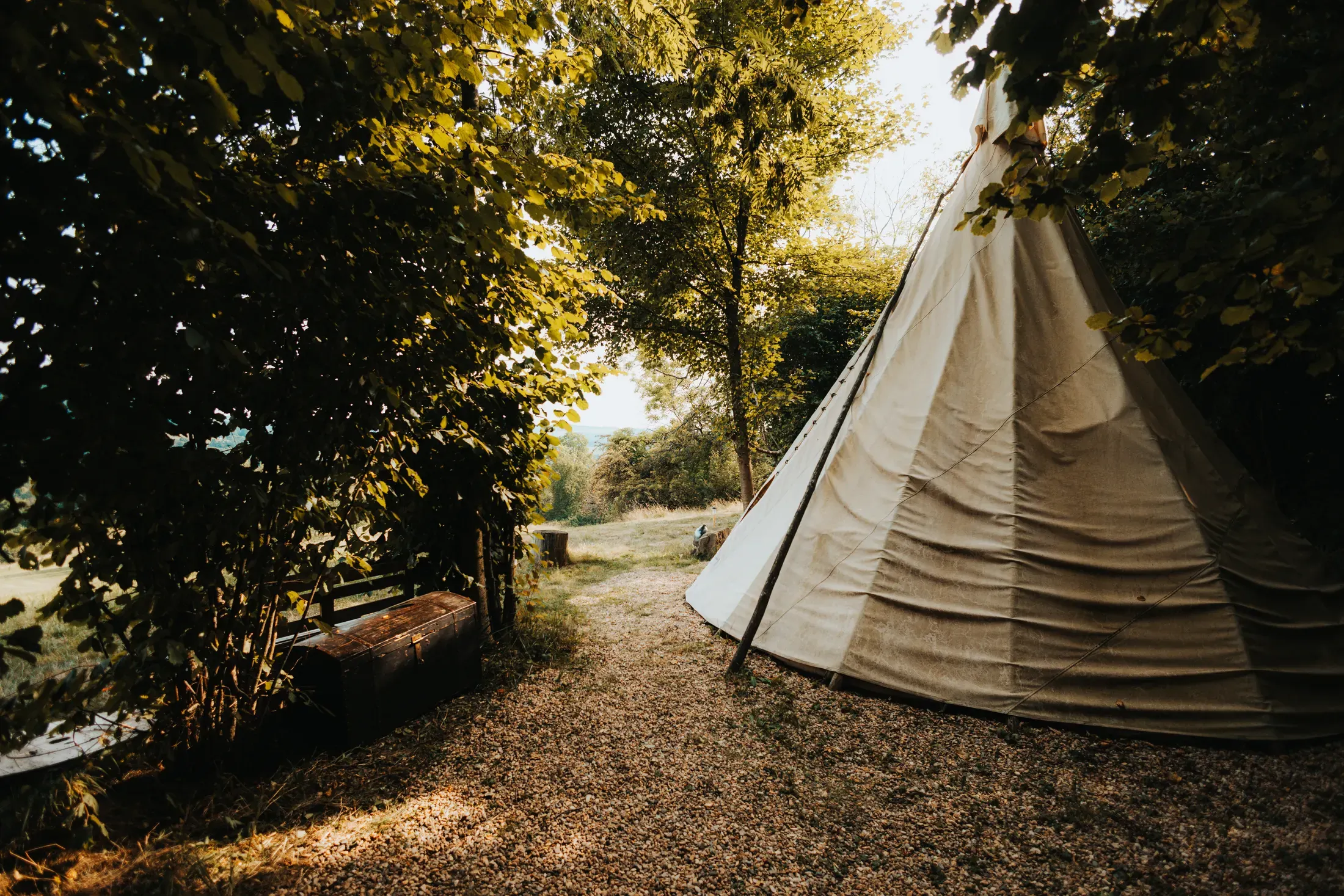 Lesní cesta vedoucí k teepee Svištící šíp.